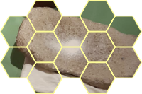 Besuch im Brotmuseum Ulm