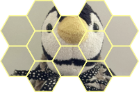 der dichtende Pinguin