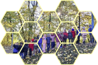 Schülersprecherwahl